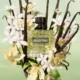 Parfumuotas vanduo Valentino  Donna Born in Roma Green Stravaganza, 30 ml EDP