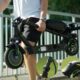 ISINWHEEL S9 MAX electric scooter, solid tire, 35 km/h