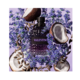 Valentino - Born In Roma Uomo Purple, EDT, 100 ml
